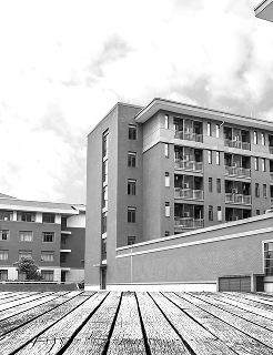 B-Schools & Colleges